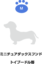 ミニチュアダックスフンド|トイプードル等