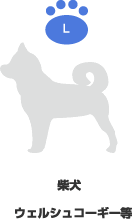 柴犬|ウェルシュコーギー等