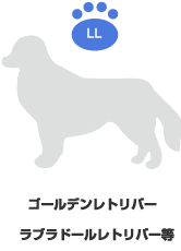 ゴールデンレトリバー|ラブラドールレトリバー等